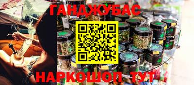 гашик Камышлов