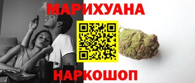 гашик Камышлов