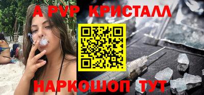 гашик Камышлов