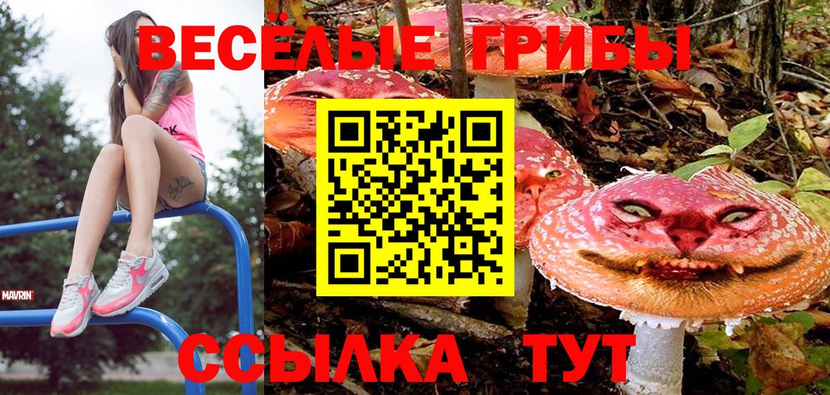 Псилоцибиновые грибы мицелий Мурино