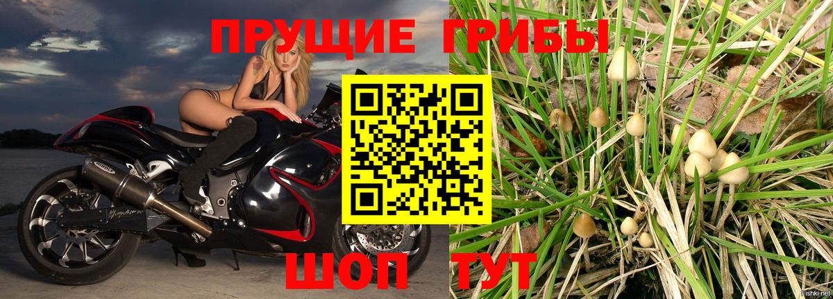 Марихуана Мурино