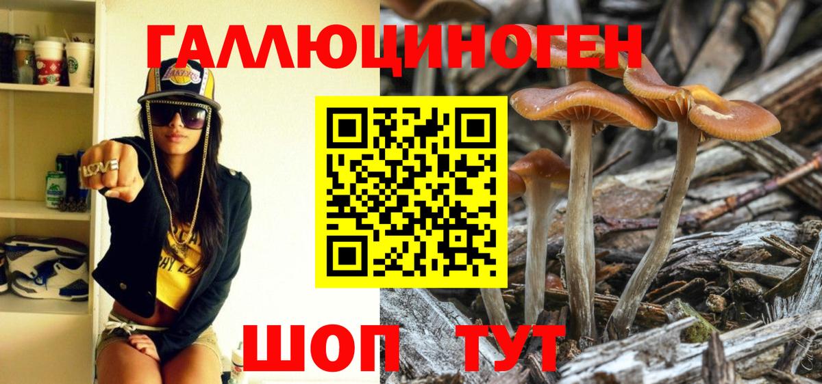 Галлюциногенные грибы Psilocybine cubensis  Вход с VPN  купить закладку  Мурино  Галлюциногенные грибы Psilocybe 