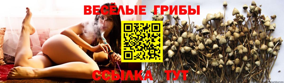 Cocaine  Бошки Шишки  Гашиш  Вход с VPN  Сколько стоит  Мурино  Мефедрон   Гашиш 